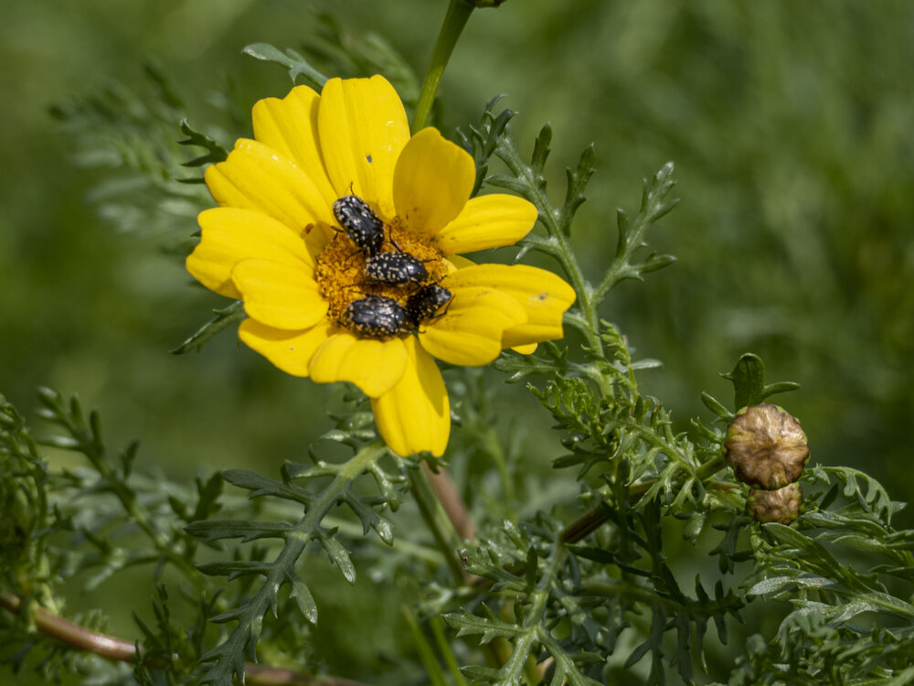 Photograph by Валентина Лопаткина