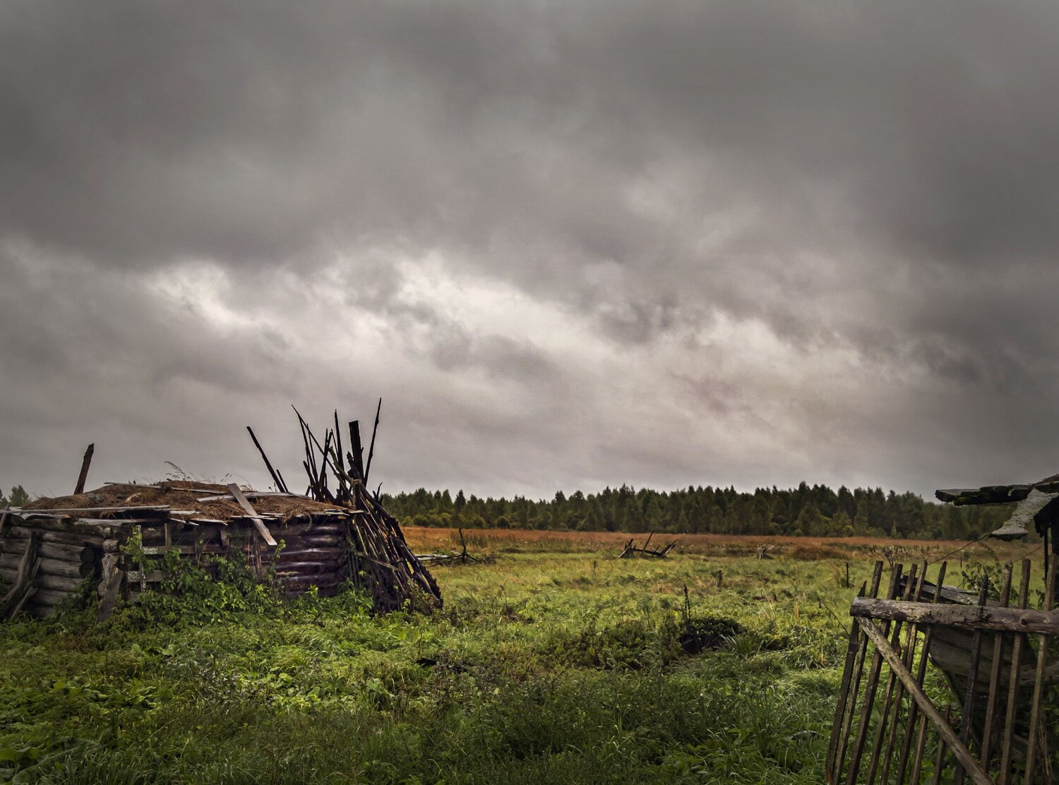 Photo #13806614