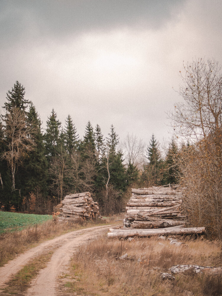 Photo #13806616