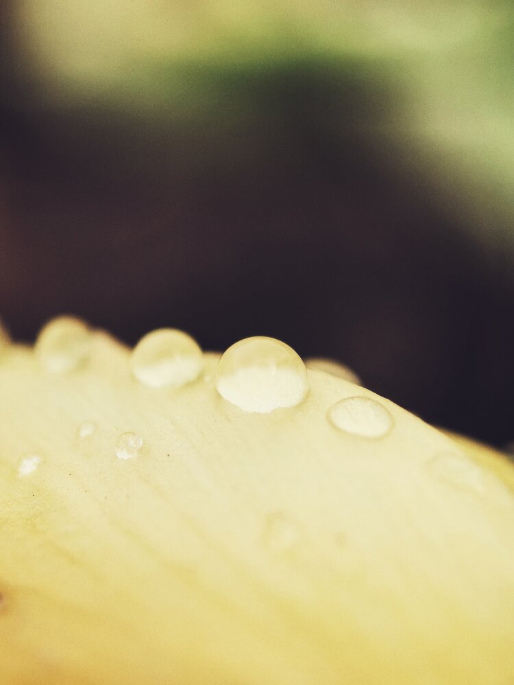 Photograph by Наталья Жуковская
