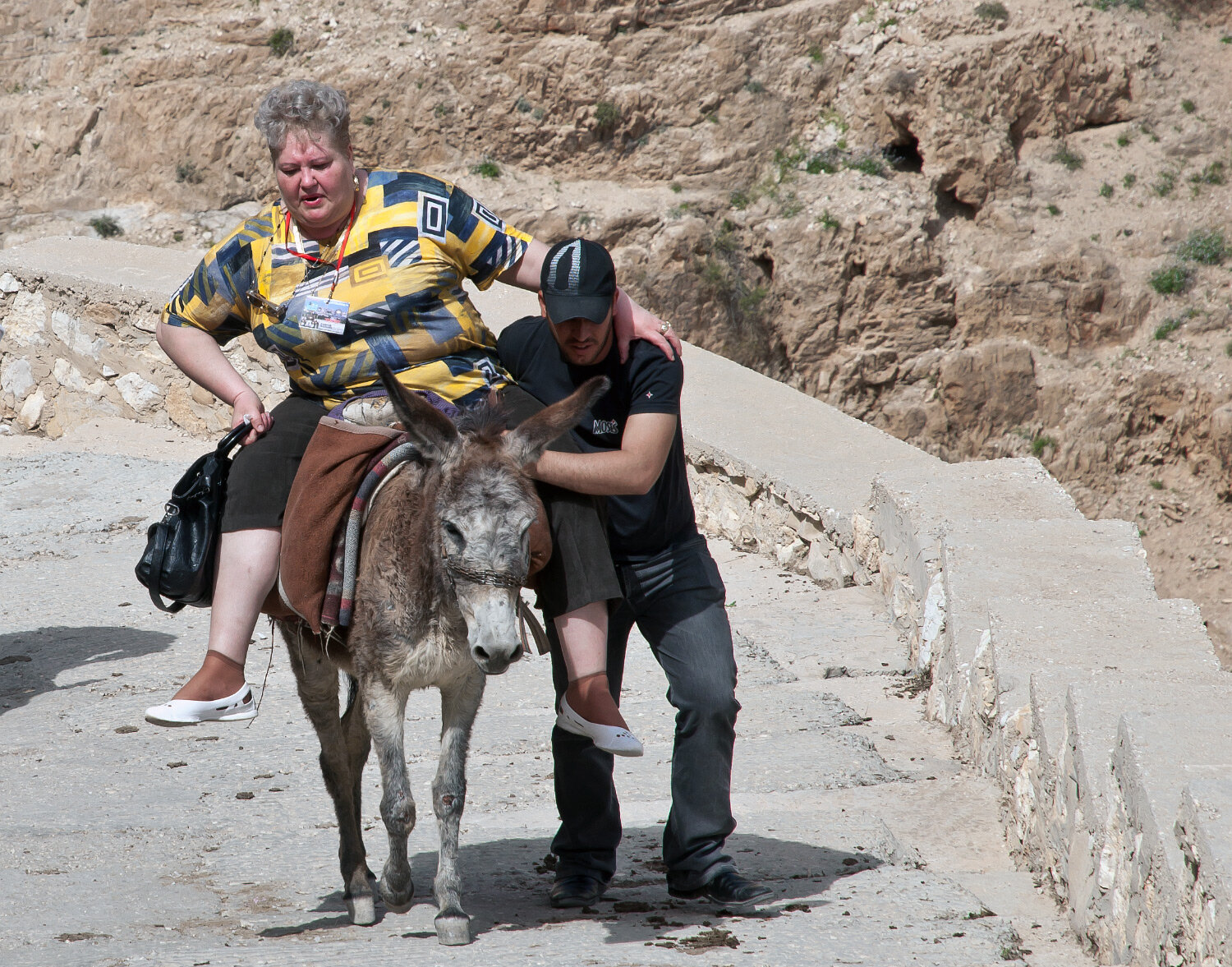 Photo #13806706