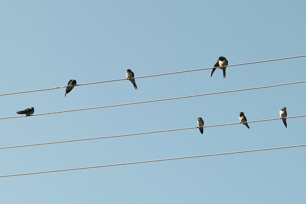 Photograph by Halyna Khomyk