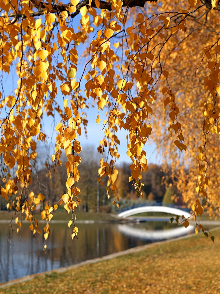 Photograph by Александр Кожевников