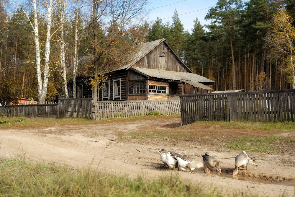Photograph by Владимир Щеголев
