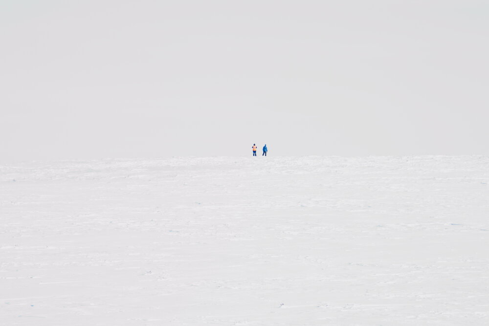 Photograph by Сергей Пузырев