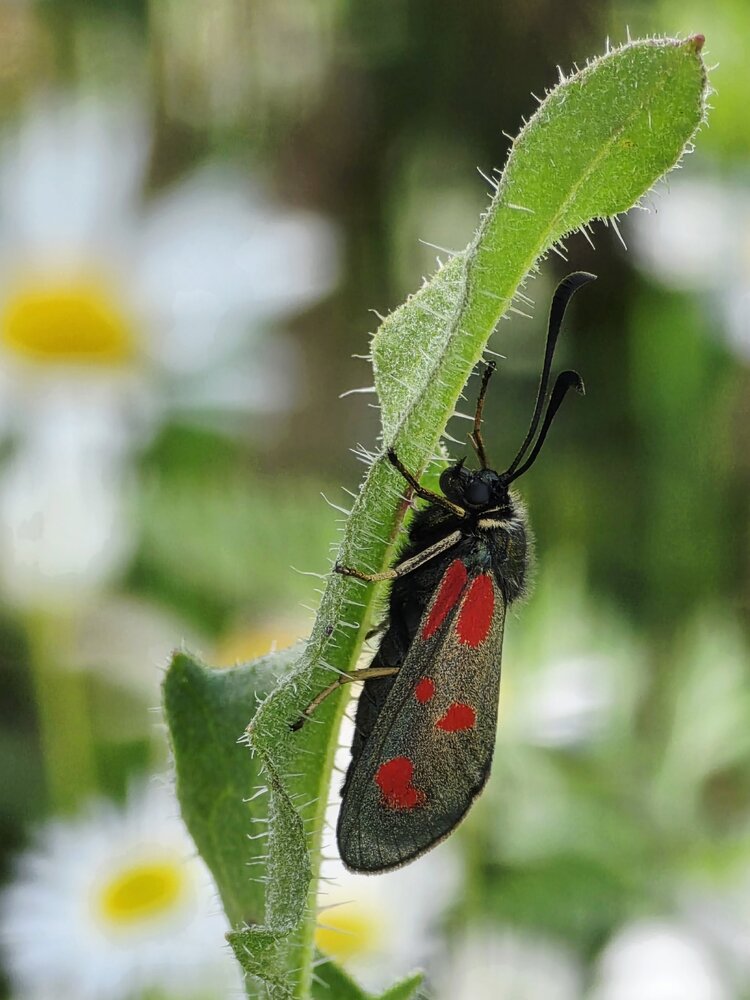 Photograph by Куделенко Оксана