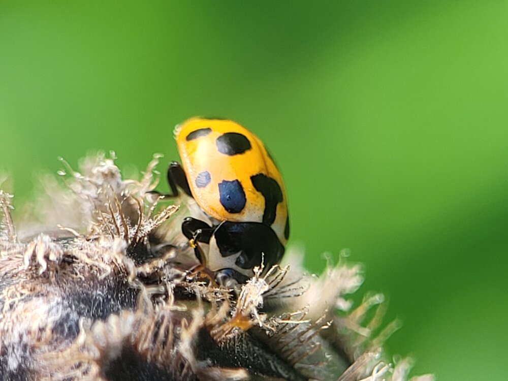 Photograph by Алексей Горин