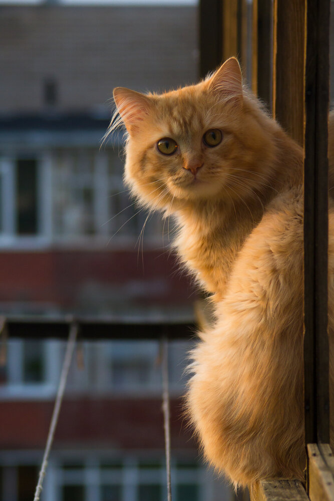 Photograph by Шистеров Сергей