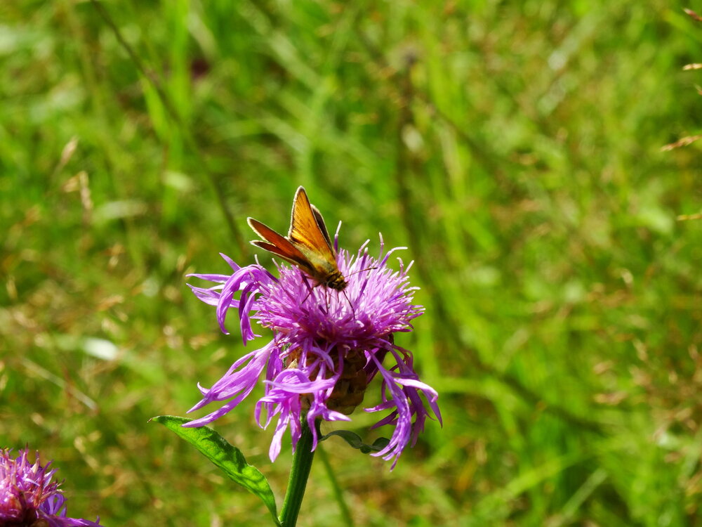 Photograph by Сергей Александрович