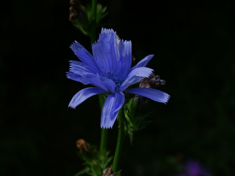 Photograph by Сергей Александрович
