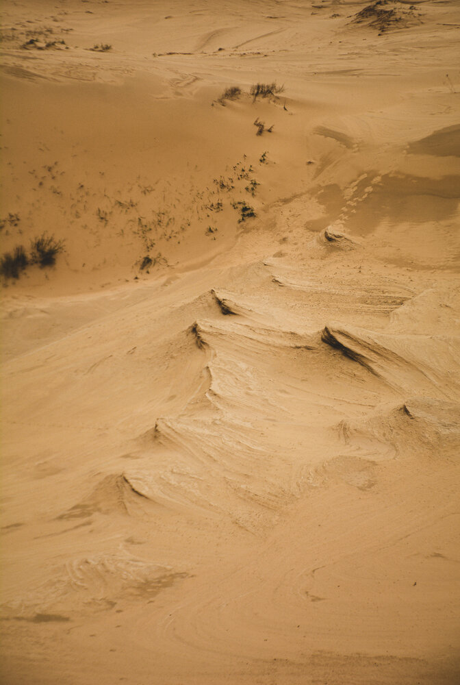Photograph by Пиюкова Галина