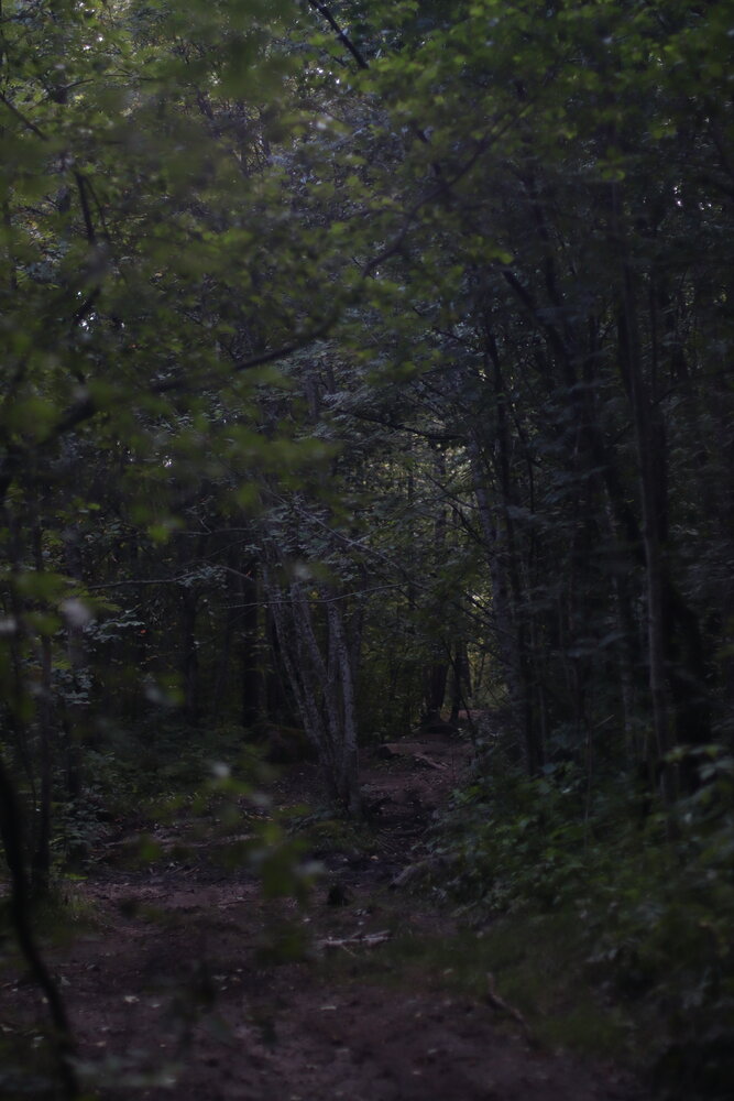 Photograph by Татьяна Бецкая