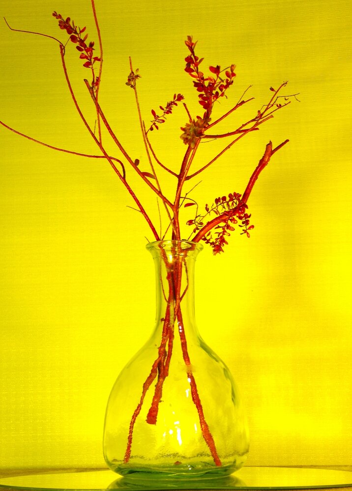 Photograph by Merav Zuberman Perkal