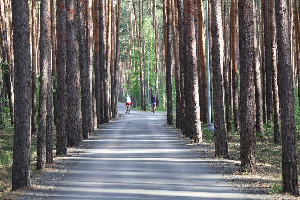 Photograph by Надежда Турсунова