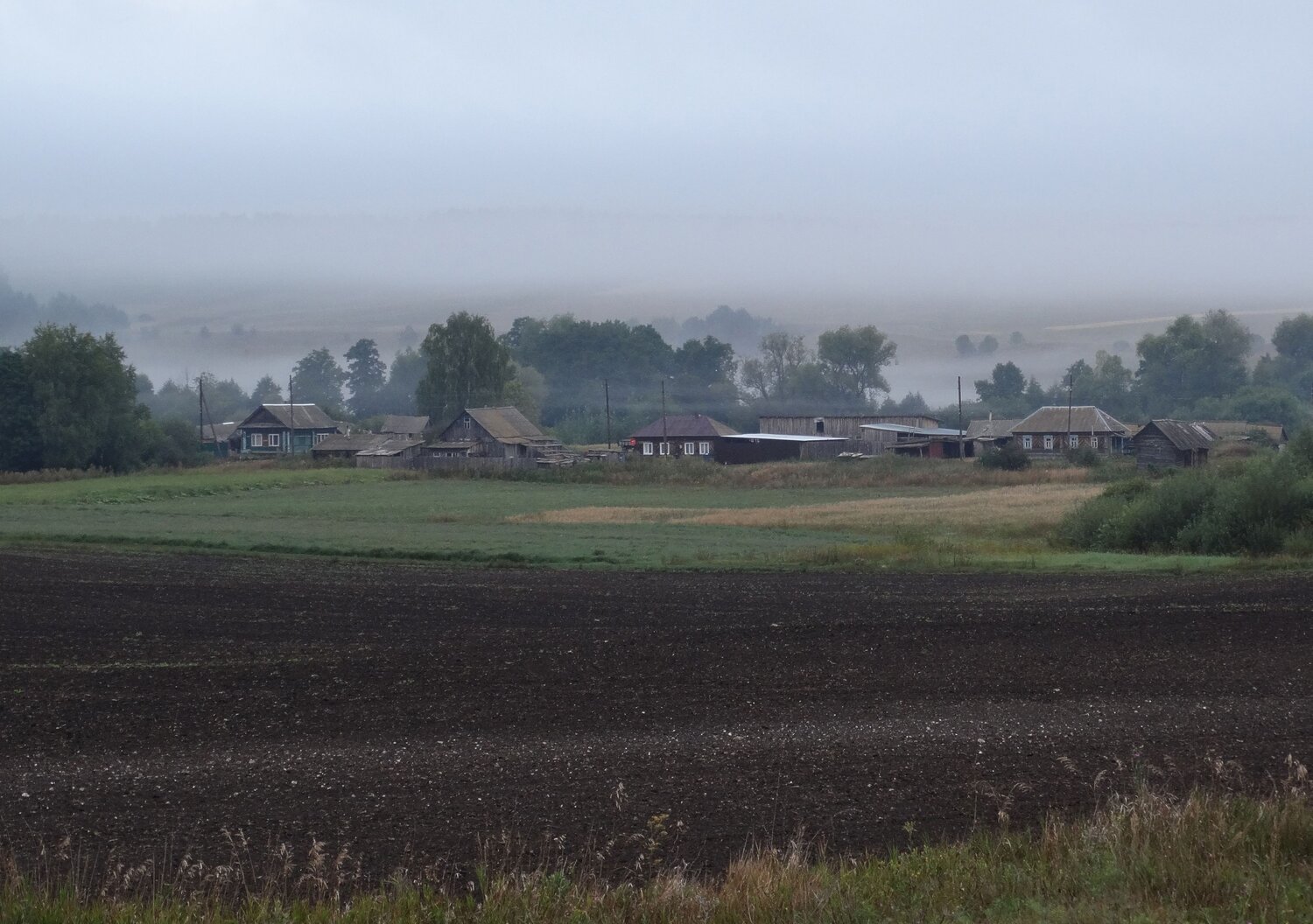 Photo #13807334