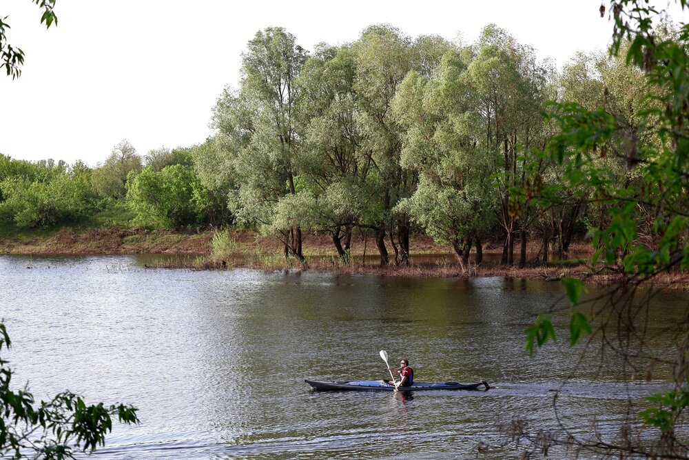 Photograph by Надежда Турсунова