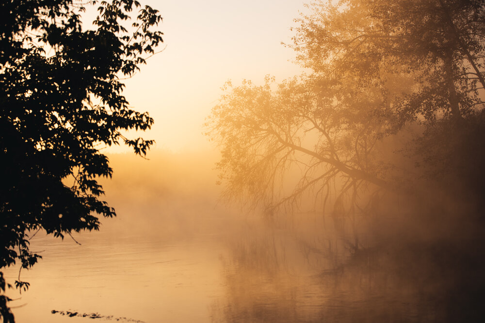 Photograph by Анна Майорова