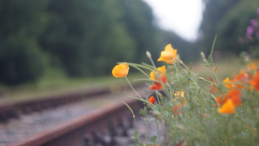 Photograph by Дмитрий Кирсанов