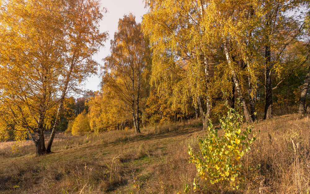 Photograph by Сергей Алексеев