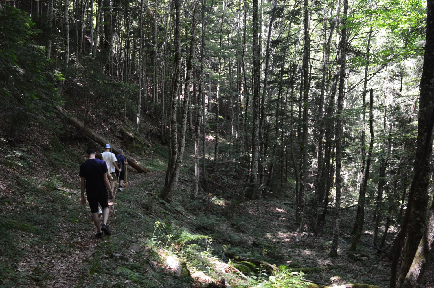Photo #13807380