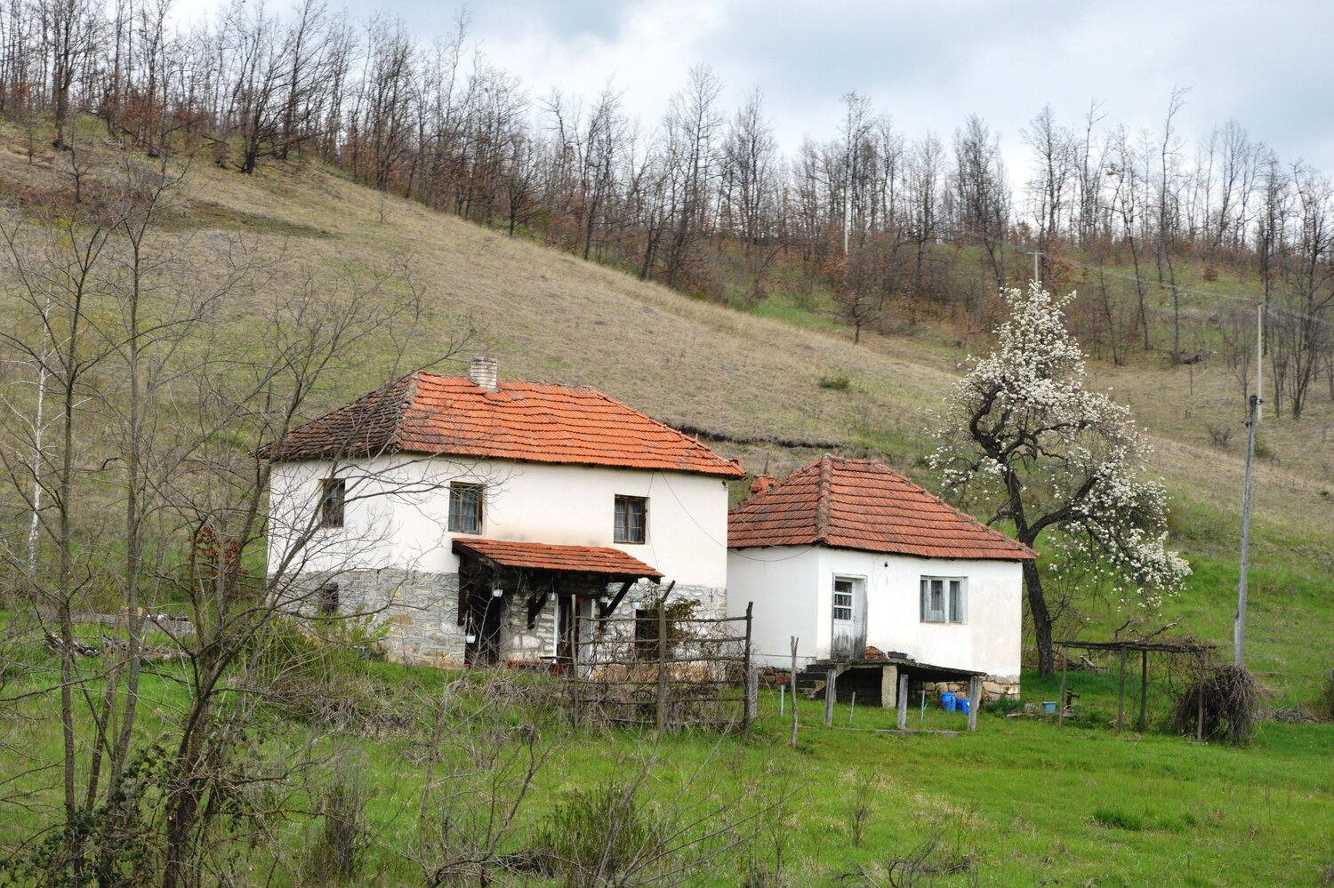 Photo #13807396