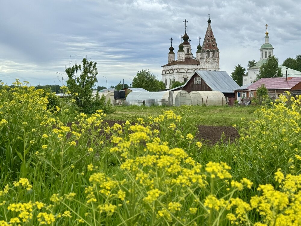 Photograph by Елена Карпухно