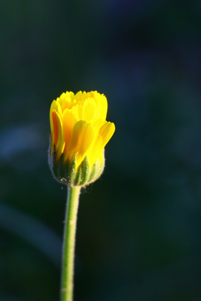 Photograph by Татьяна Сергиенко