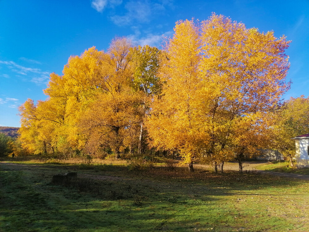 Photograph by Татьяна Сергиенко