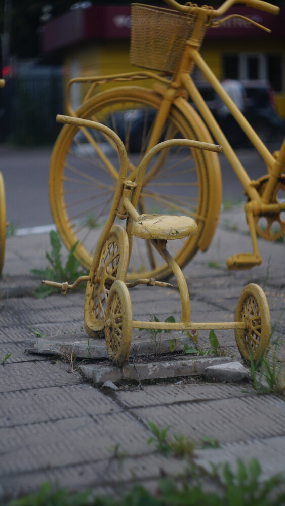 Photograph by Дмитрий Кирсанов