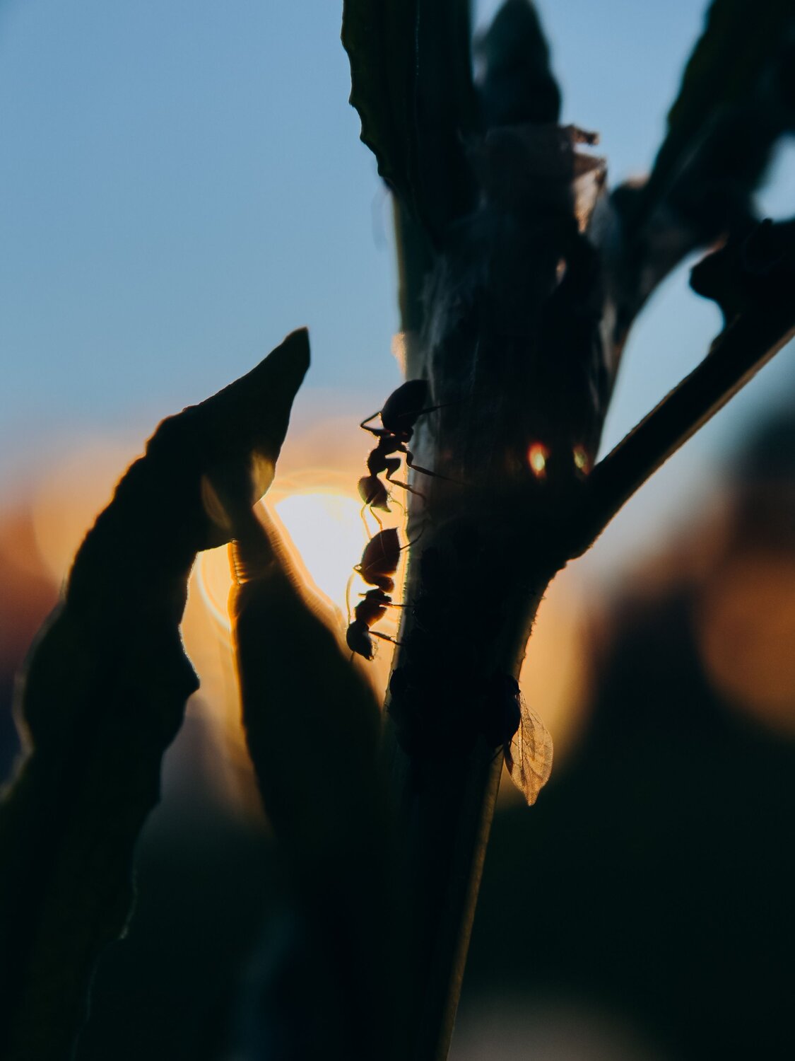 Photo #13807457
