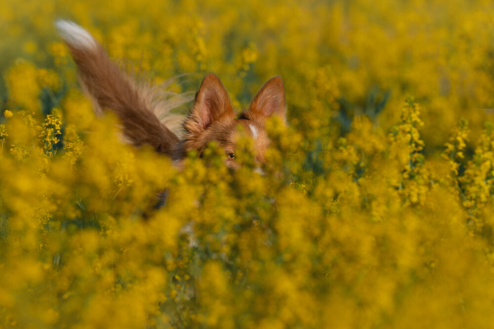 Photograph by Mighty Obscurant