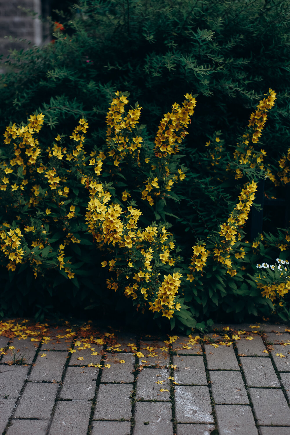 Photo #13807533