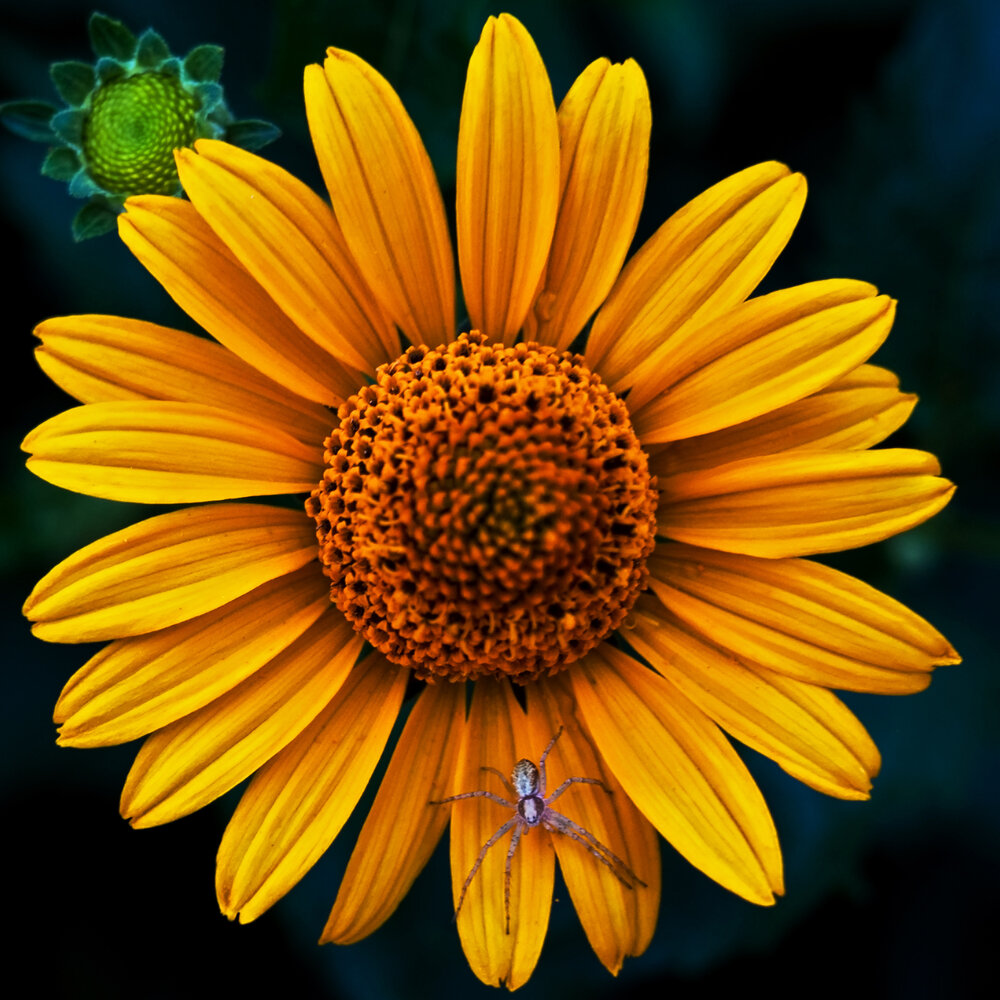 Photograph by Дмитрий Матвеев