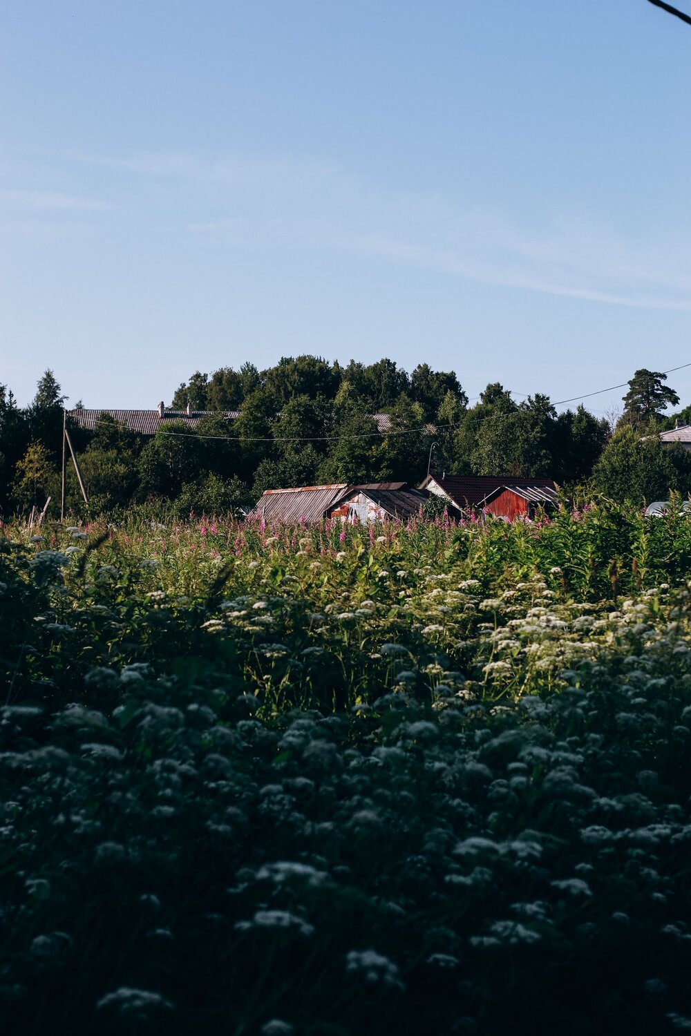 Photo #13807545