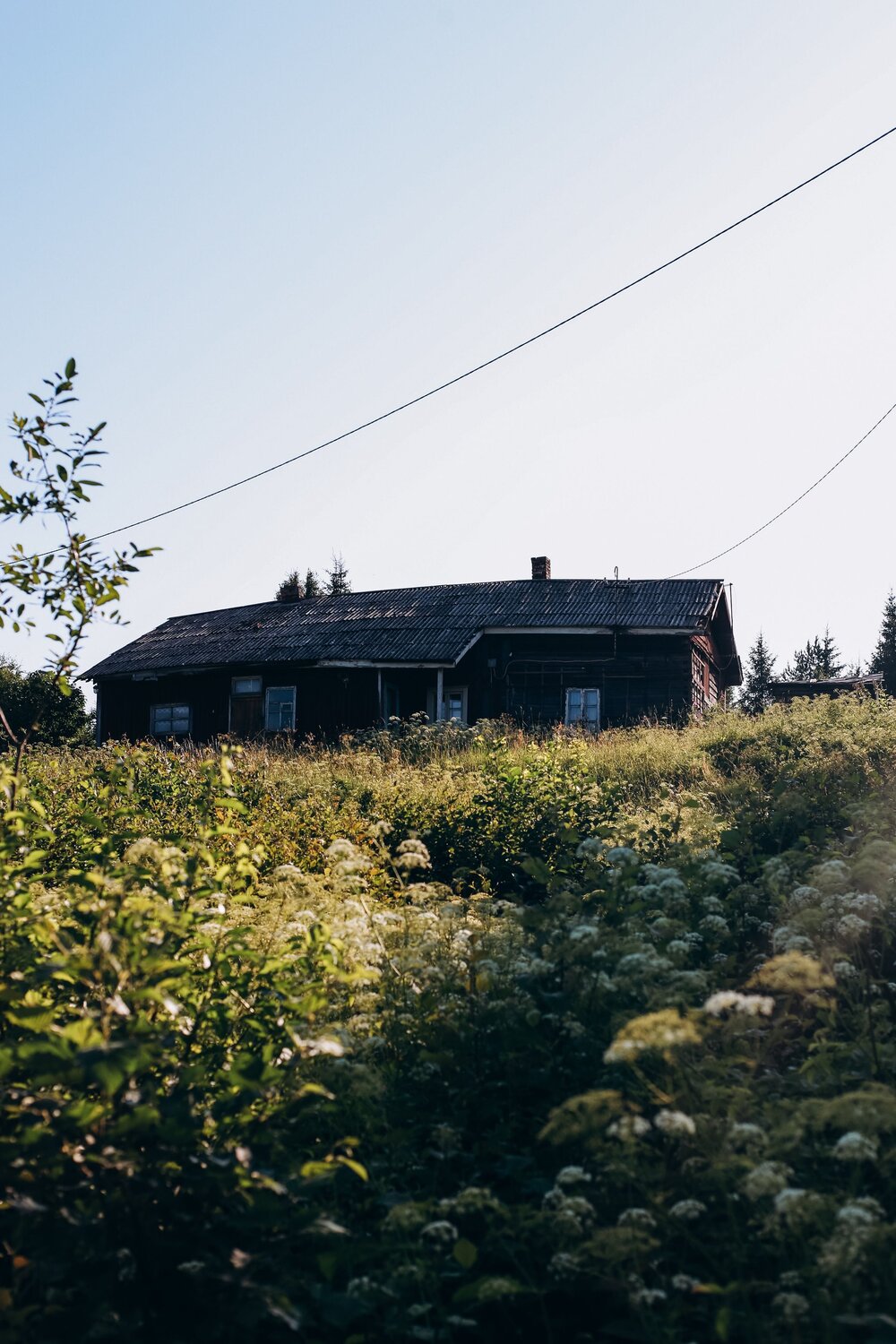 Photo #13807546