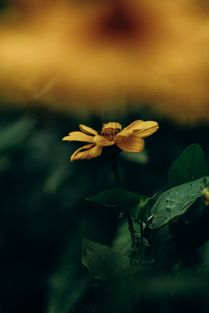 Photograph by Алиса Исаева