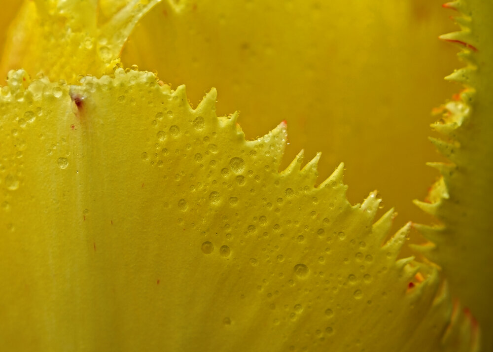 Photograph by Дмитрий Матвеев