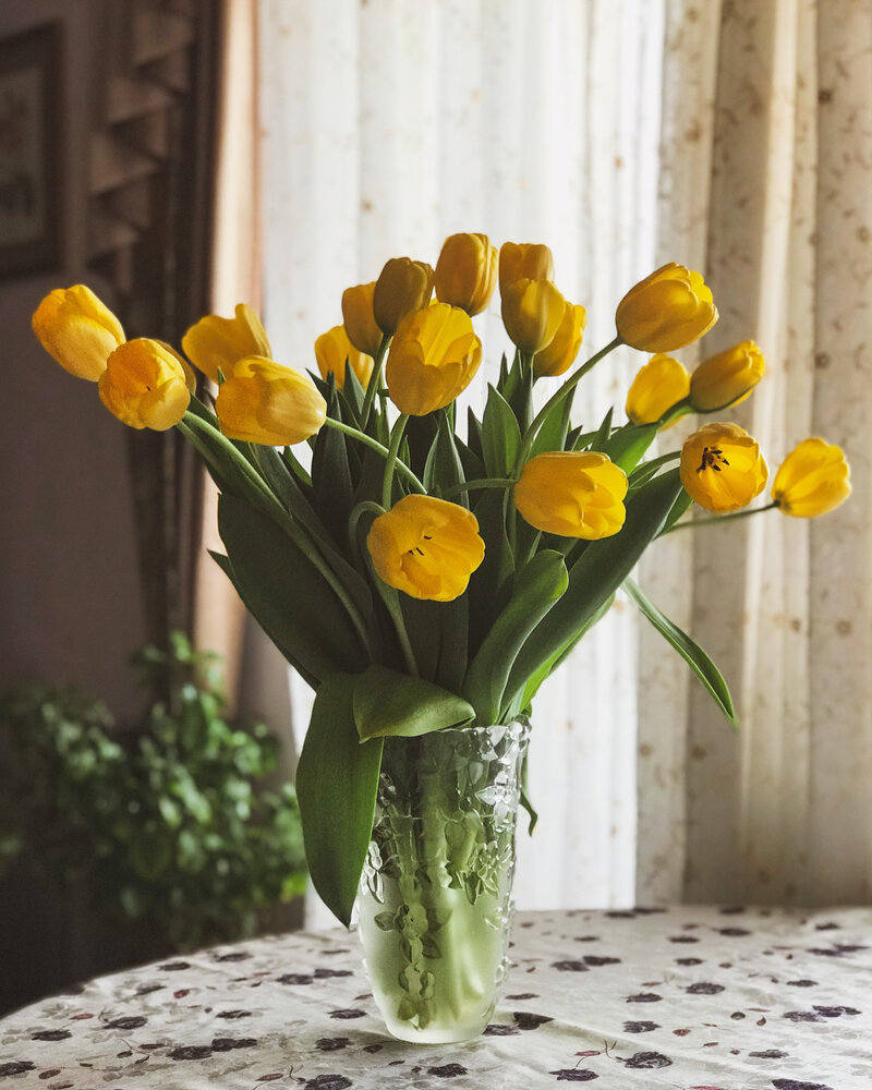 Photograph by Татьяна Волохова