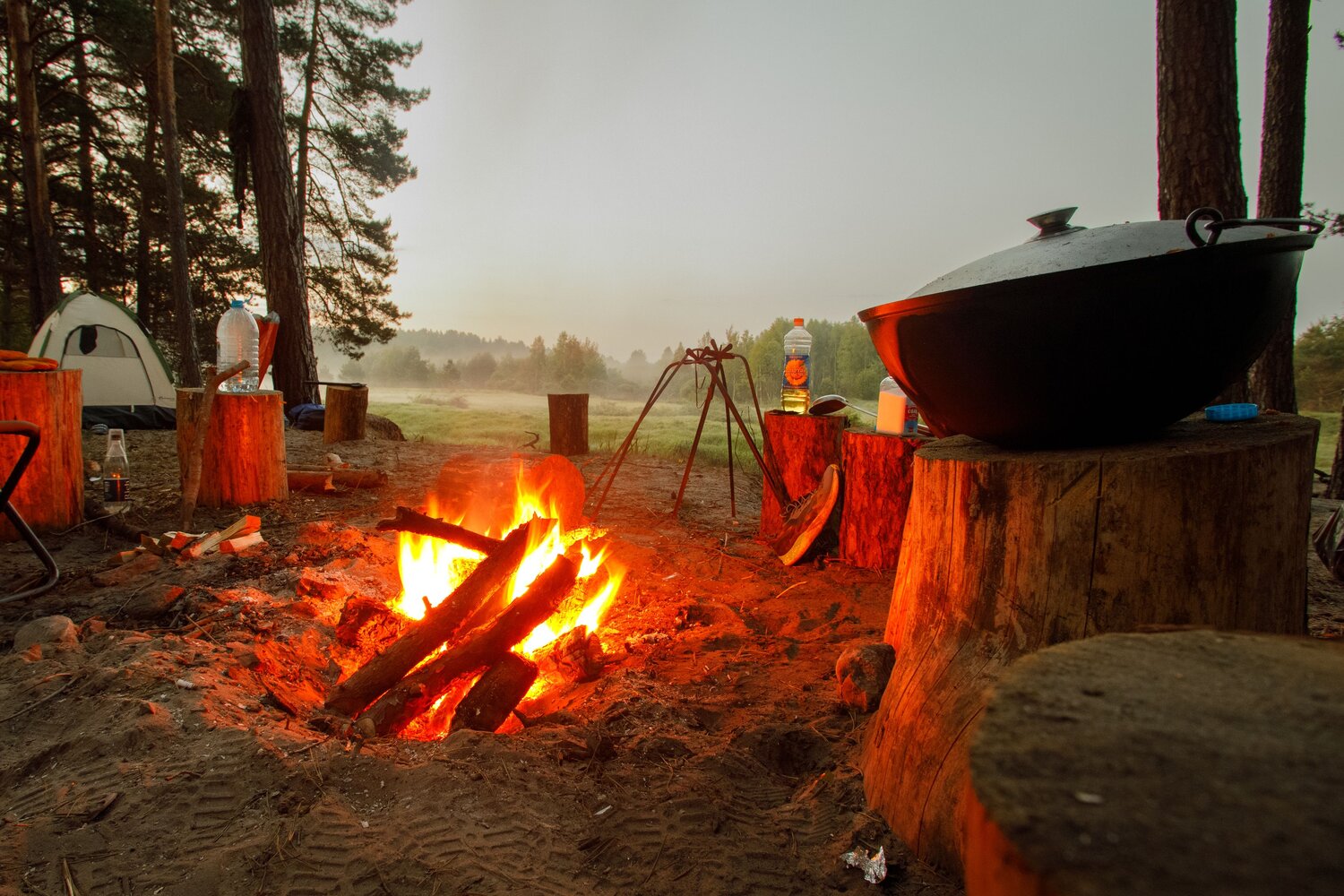 Photo #13807591