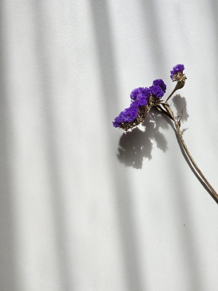 Photograph by Татьяна Небрат