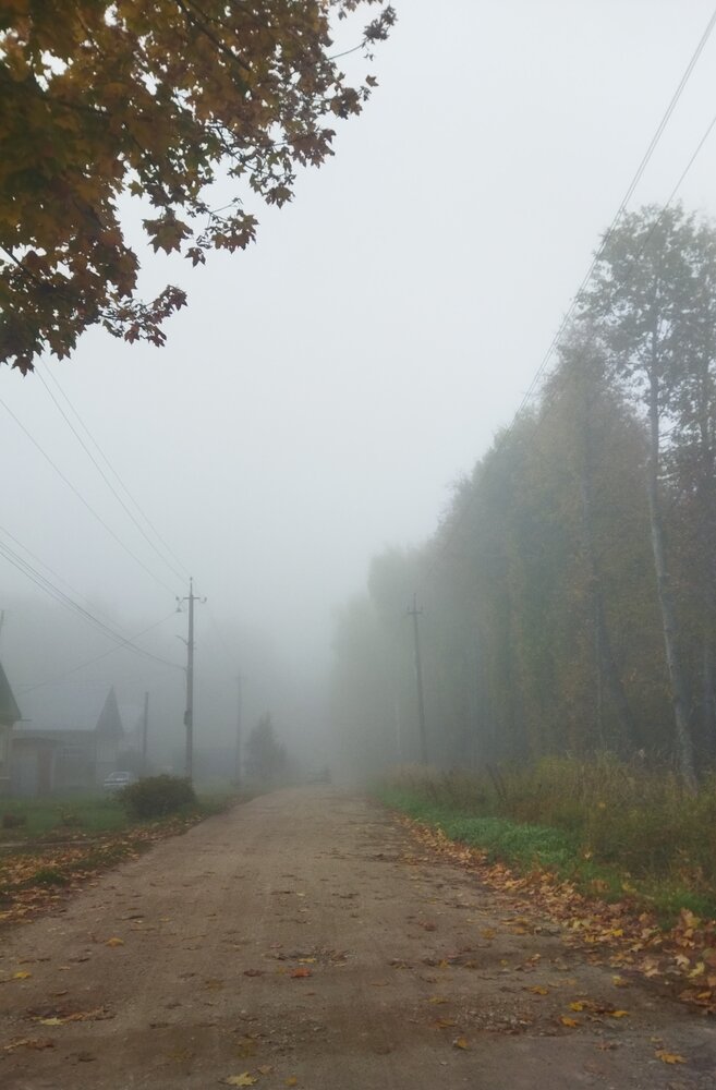 Photograph by Юлия Морозова