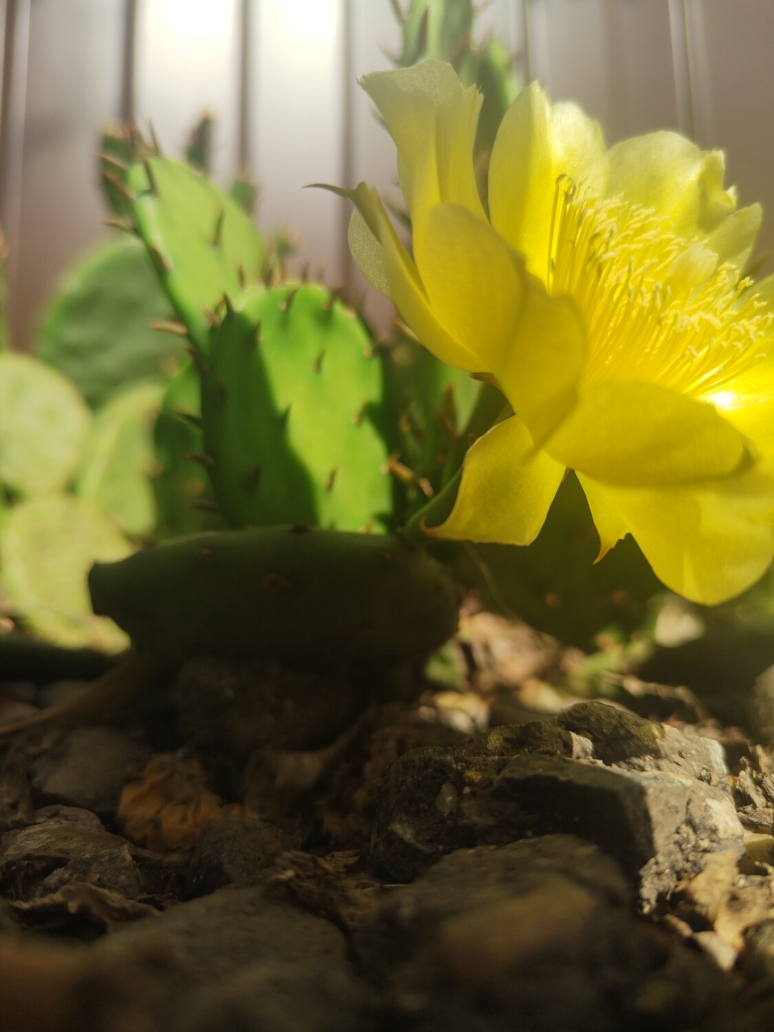Photo #13807690