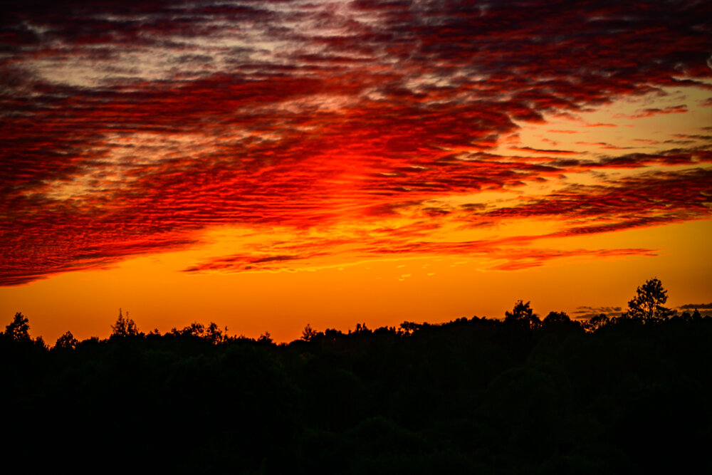 Photograph by Константин Бородулин