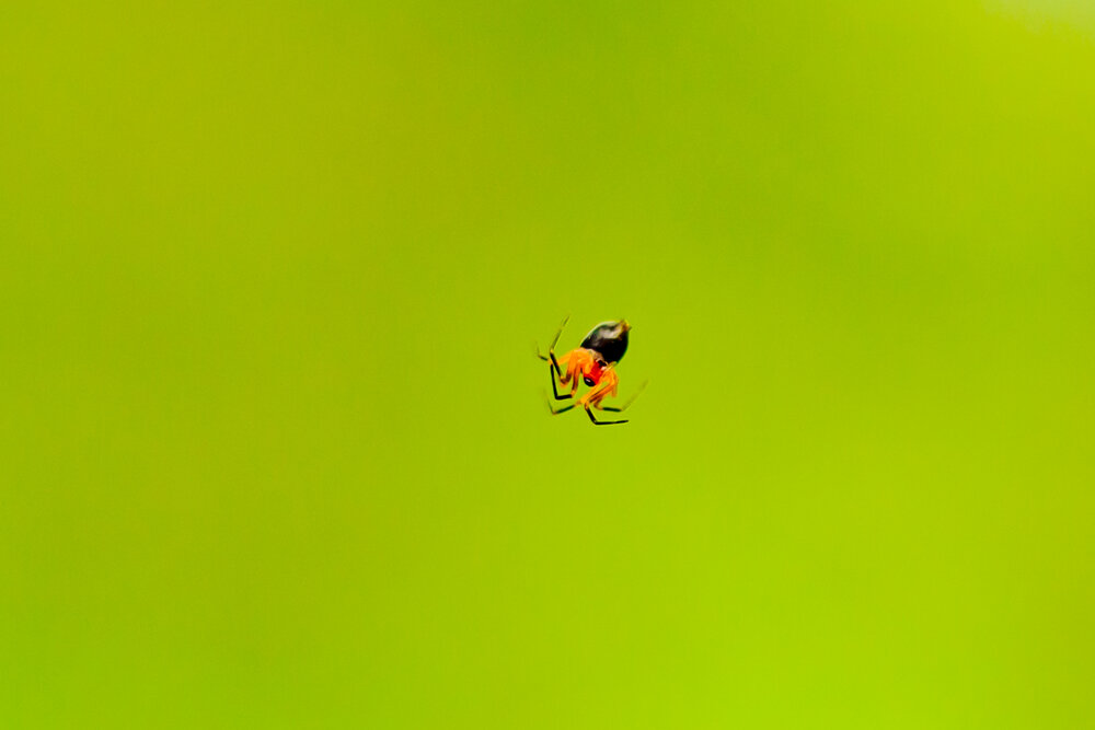 Photograph by Константин Бородулин