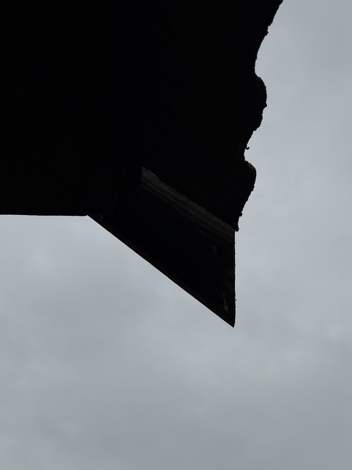 Photo #13807788