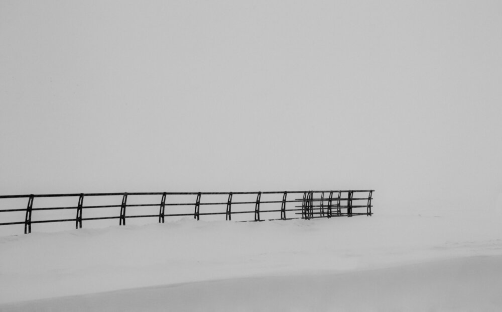 Photo #13807803