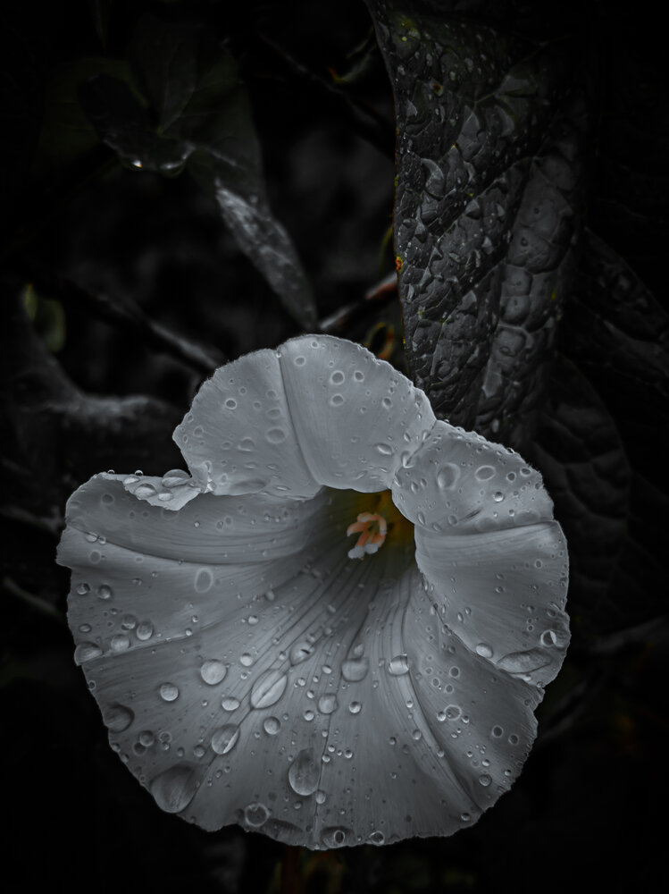 Photograph by andrey denisov