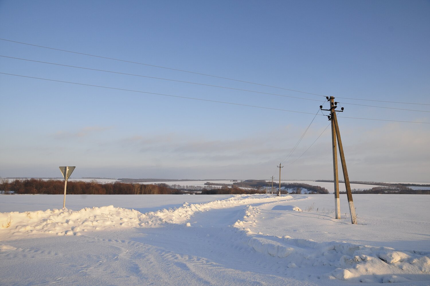 Photo #13807917