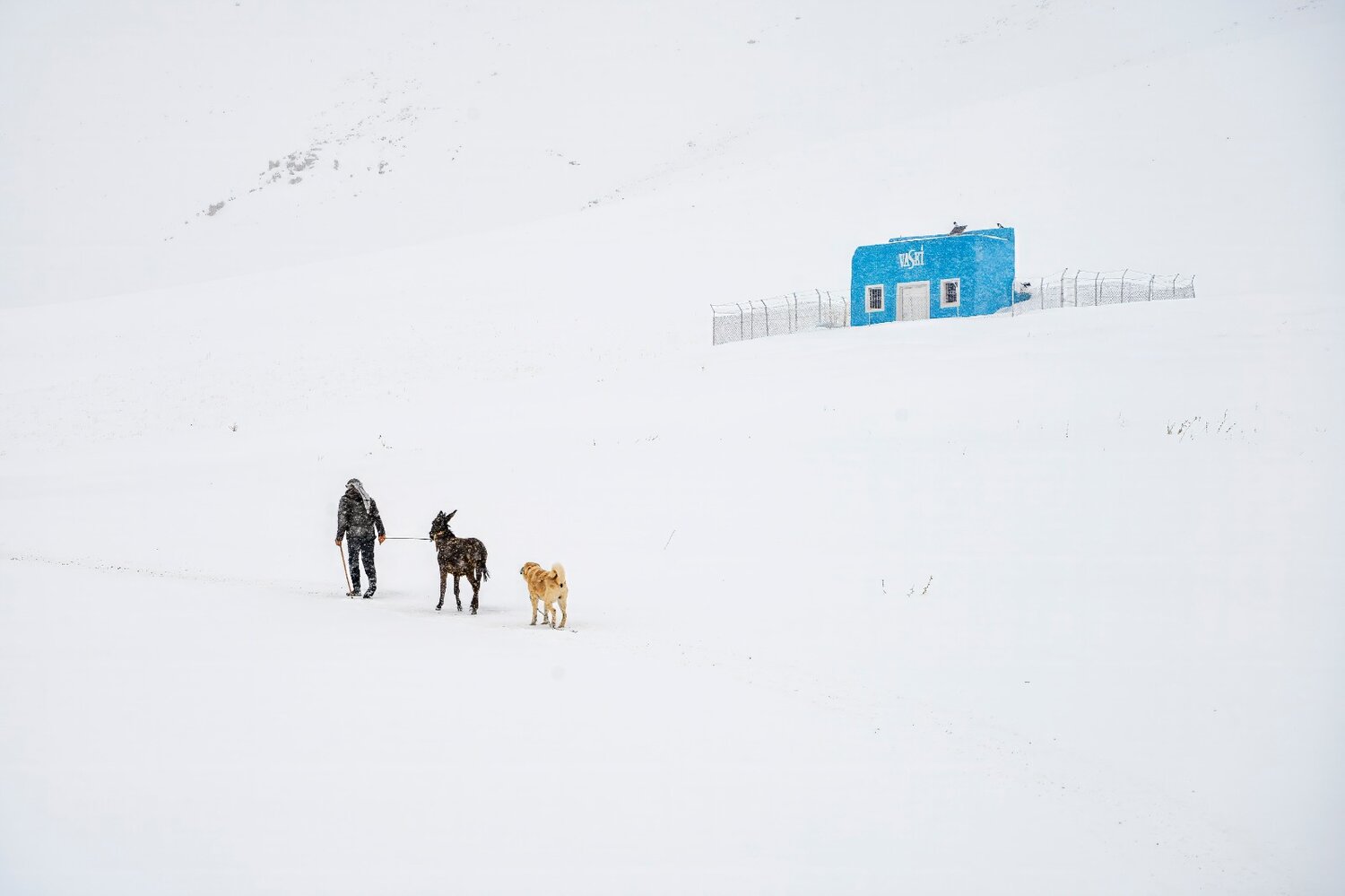 Photo #13807957