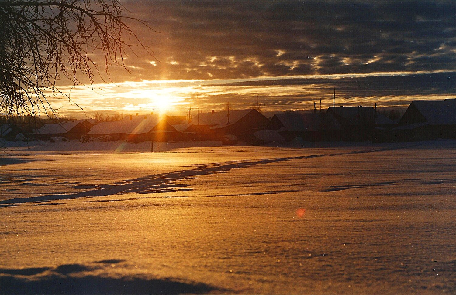 Photo #13807972